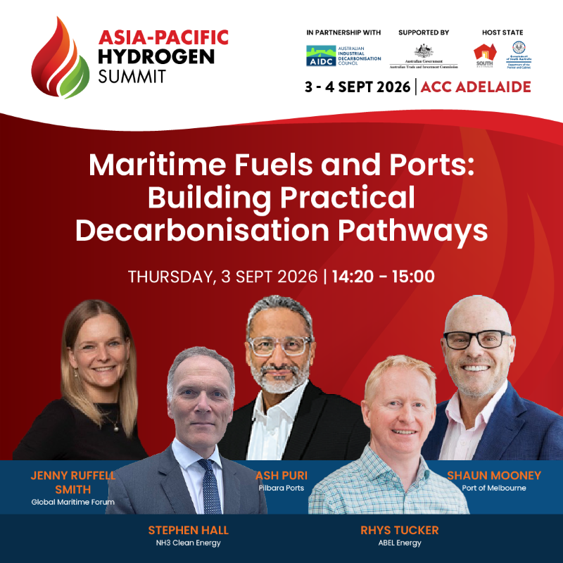 Maritime Fuels and Ports: Building Practical Decarbonisation Pathways