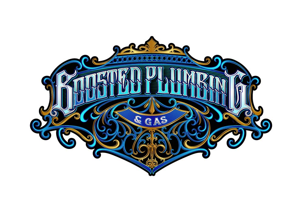 Boosted Plumbing & Gas
